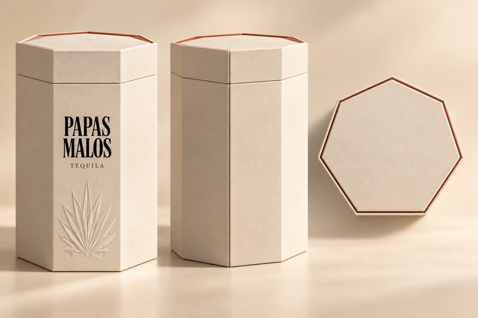 Concept rendering of the closed seven-sided Papas Malos case, front and back, with its lid